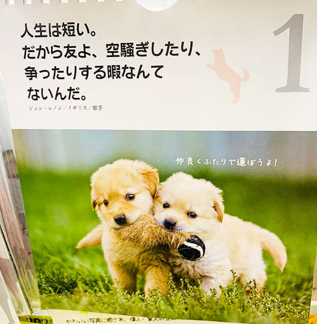 動物壁掛けカレンダー