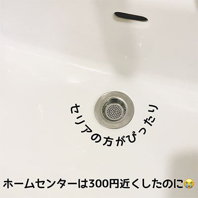 セリア　パンチングゴミ受け