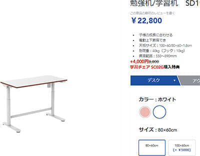 特約店 完成品 電動昇降デスク 天板100×60 学習机 FlexiSpot SD1