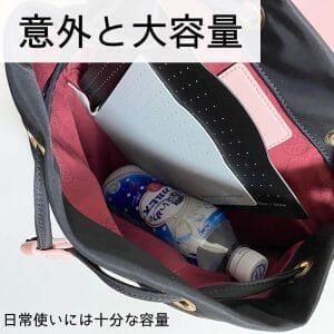ガストンルーガ　バックパック